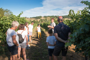 Visite dégustation Domaine Le Broca